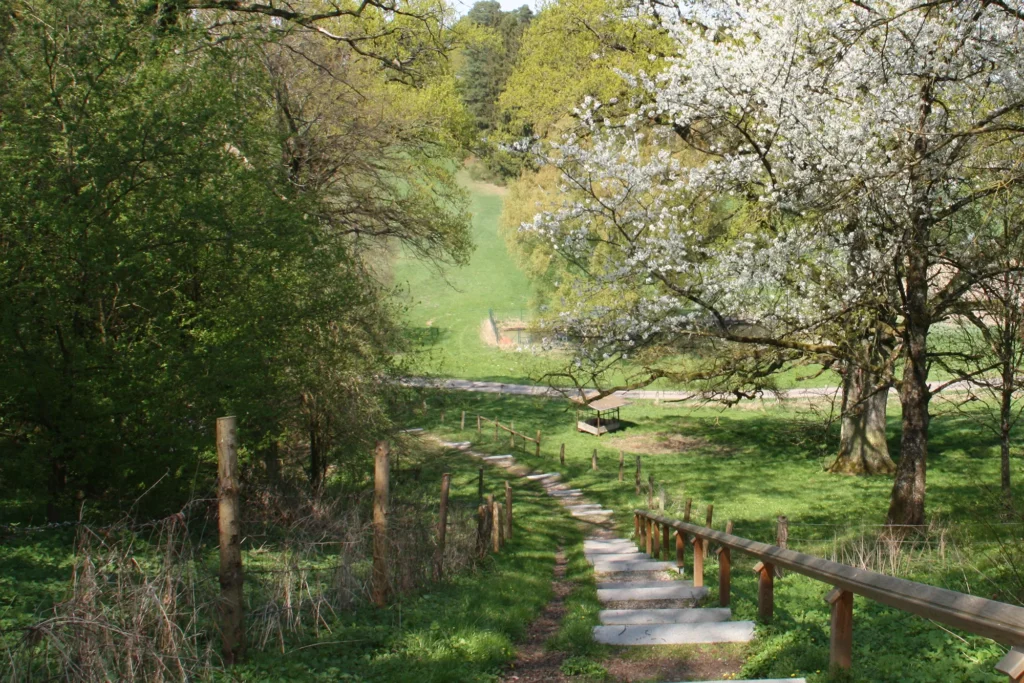 Die Wege des Herrn können sehr schön sein