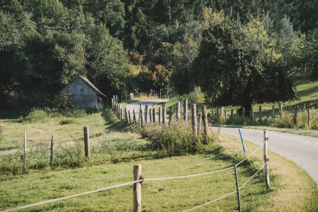 Weg-Ruhe-Erholung-Oase-Steinerskirchen