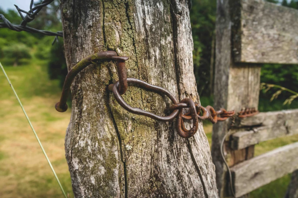 Kette-Zaun-Oase-Steinerskirchen-Weide