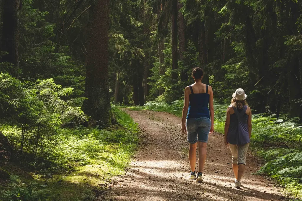 Wald-Spaziergang-Frauen-Steinerskirchen-quer