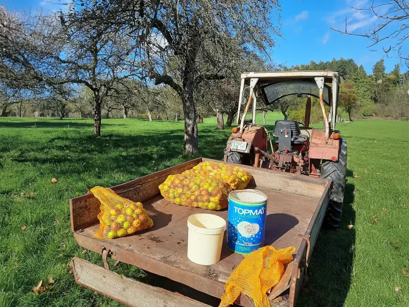 Apfelernte-quadrat-1200