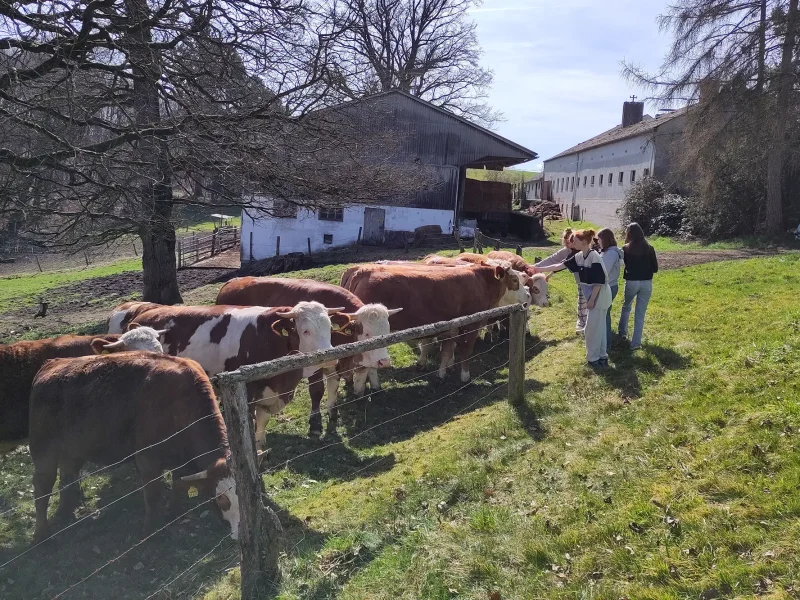 IMG_20230322_115324 Kopie